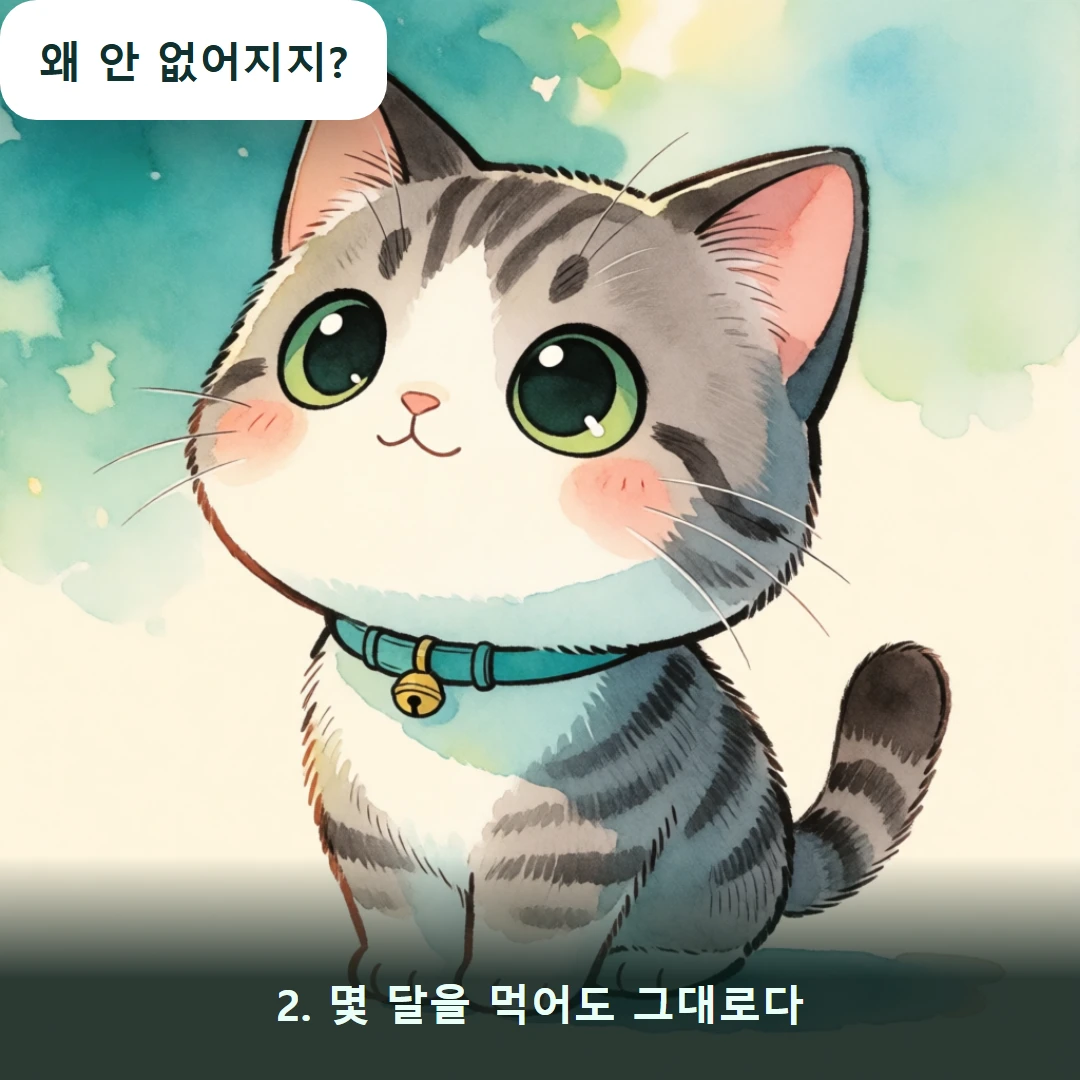 웹툰 2컷 — 2. 몇 달을 먹어도 그대로다 (왜 안 없어지지?)