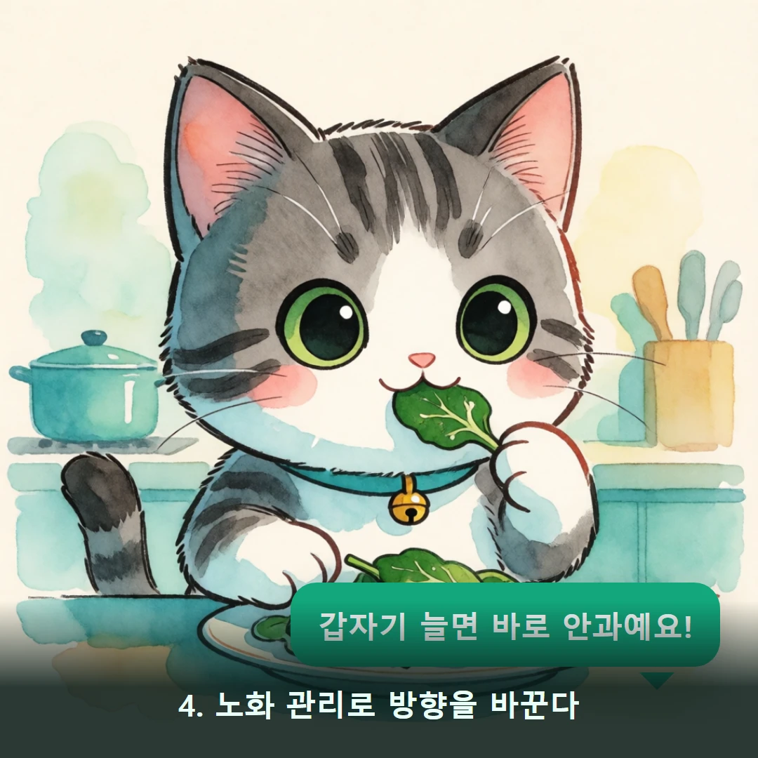 웹툰 4컷 — 4. 노화 관리로 방향을 바꾼다 (갑자기 늘면 바로 안과예요!)
