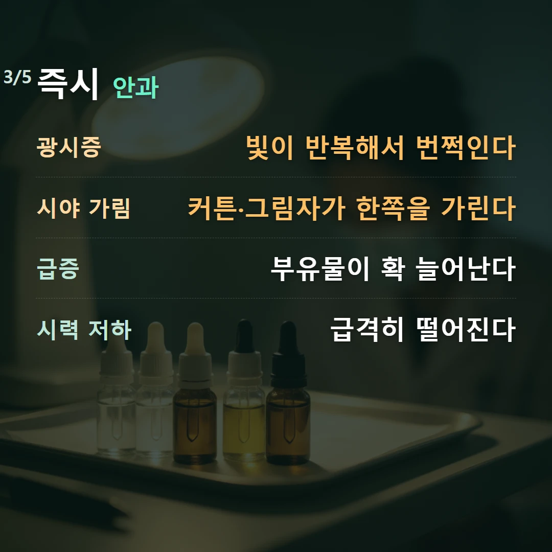 즉시 안과 — 광시증 빛이 반복해서 번쩍인다, 시야 가림 커튼·그림자가 한쪽을 가린다, 급증 부유물이 확 늘어난다, 시력 저하 급격히 떨어진다