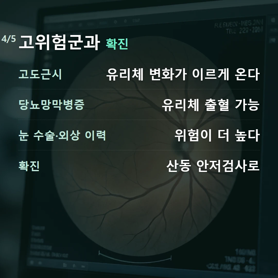 고위험군과 확진 — 고도근시 유리체 변화가 이르게 온다, 당뇨망막병증 유리체 출혈 가능, 눈 수술·외상 이력 위험이 더 높다, 확진 산동 안저검사로