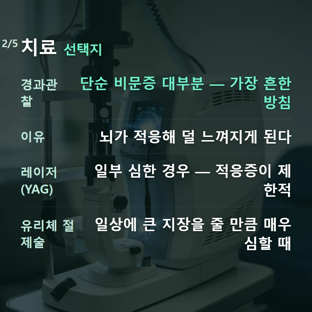 치료 선택지 — 경과관찰 단순 비문증 대부분 — 가장 흔한 방침, 이유 뇌가 적응해 덜 느껴지게 된다, 레이저(YAG) 일부 심한 경우 — 적응증이 제한적, 유리체 절제술 일상에 큰 지장을 줄 만큼 매우 심할 때