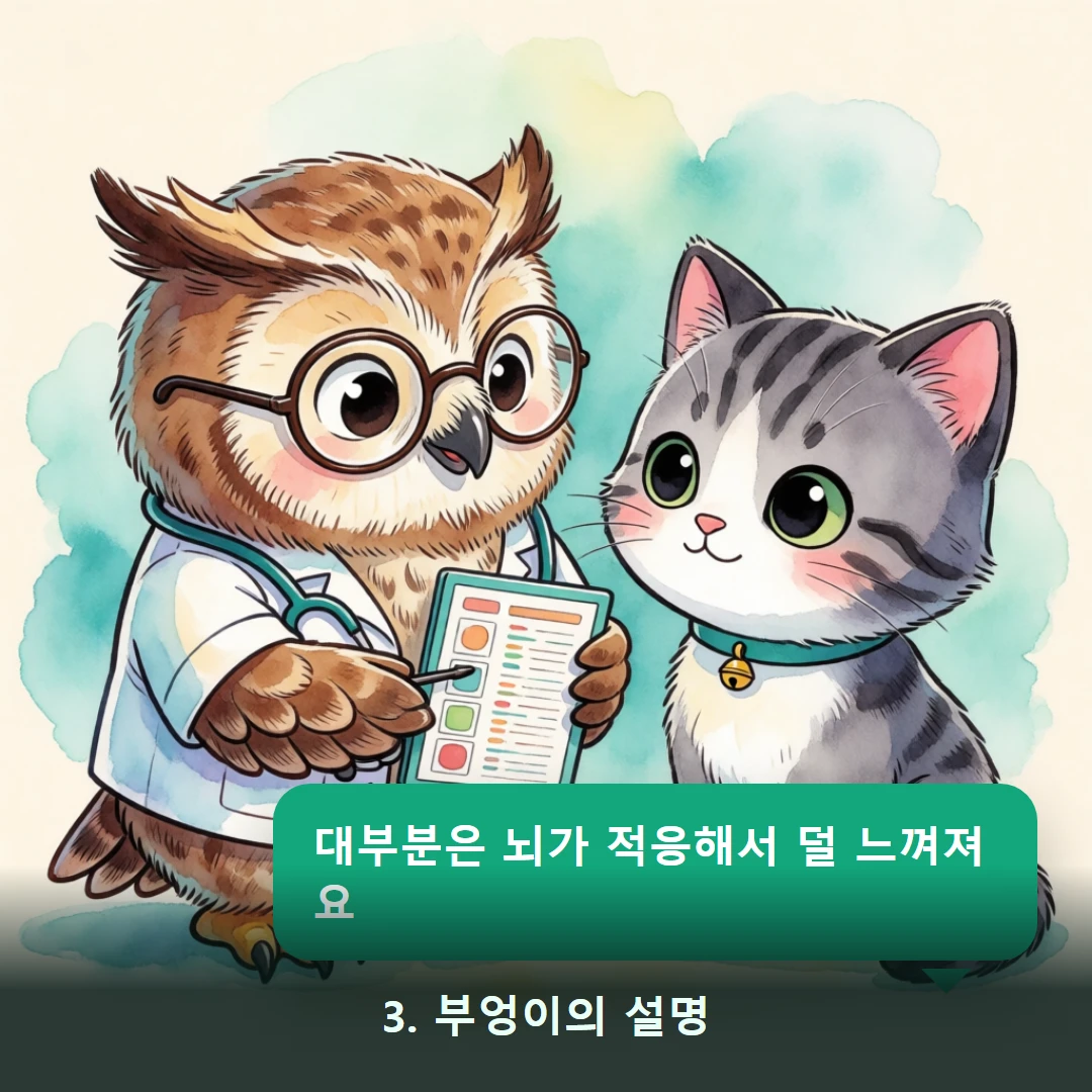 웹툰 3컷 — 3. 부엉이의 설명 (대부분은 뇌가 적응해서 덜 느껴져요)