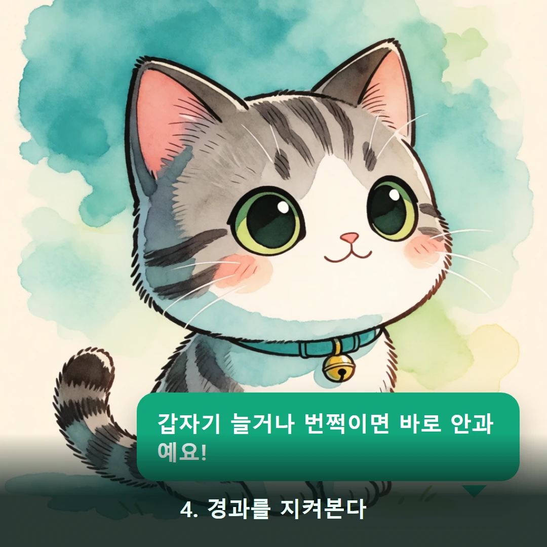 웹툰 4컷 — 4. 경과를 지켜본다 (갑자기 늘거나 번쩍이면 바로 안과예요!)