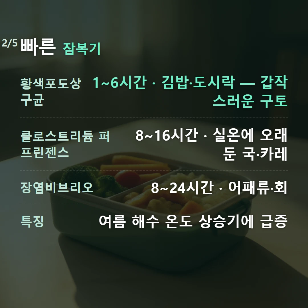 빠른 잠복기 — 황색포도상구균 1~6시간 · 김밥·도시락 — 갑작스러운 구토, 클로스트리듐 퍼프린젠스 8~16시간 · 실온에 오래 둔 국·카레, 장염비브리오 8~24시간 · 어패류·회, 특징 여름 해수 온도 상승기에 급증
