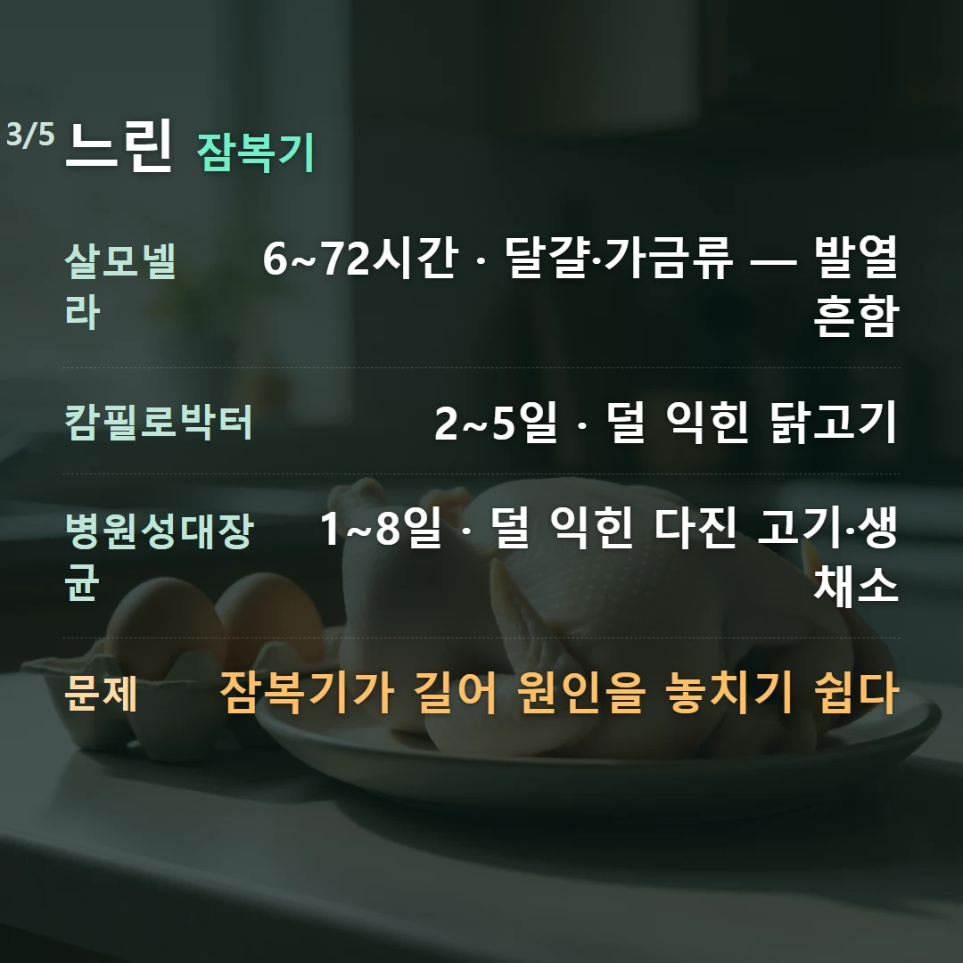 느린 잠복기 — 살모넬라 6~72시간 · 달걀·가금류 — 발열 흔함, 캄필로박터 2~5일 · 덜 익힌 닭고기, 병원성대장균 1~8일 · 덜 익힌 다진 고기·생채소, 문제 잠복기가 길어 원인을 놓치기 쉽다
