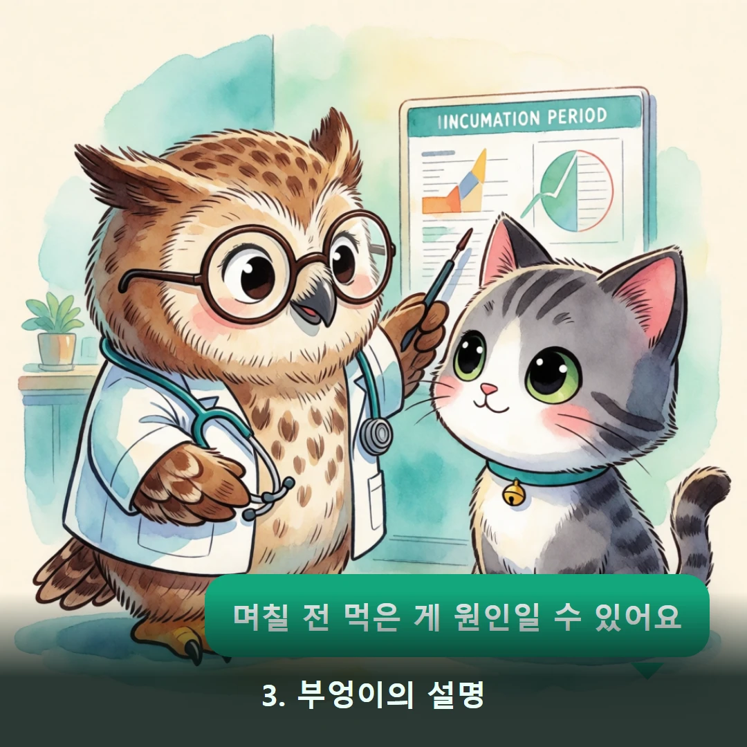 웹툰 3컷 — 3. 부엉이의 설명 (며칠 전 먹은 게 원인일 수 있어요)