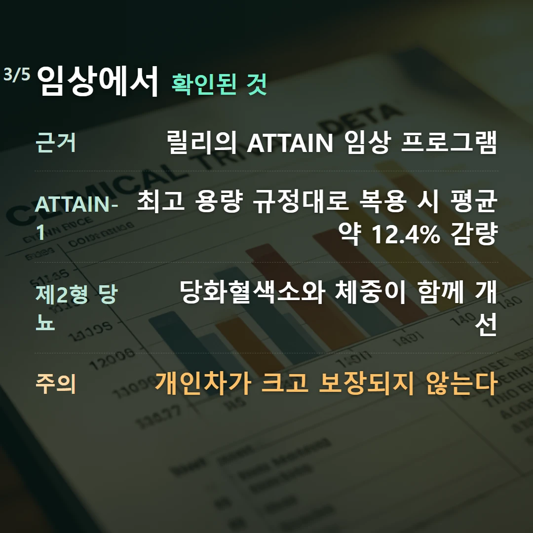 임상에서 확인된 것 — 근거 릴리의 ATTAIN 임상 프로그램, ATTAIN-1 최고 용량 규정대로 복용 시 평균 약 12.4% 감량, 제2형 당뇨 당화혈색소와 체중이 함께 개선, 주의 개인차가 크고 보장되지 않는다