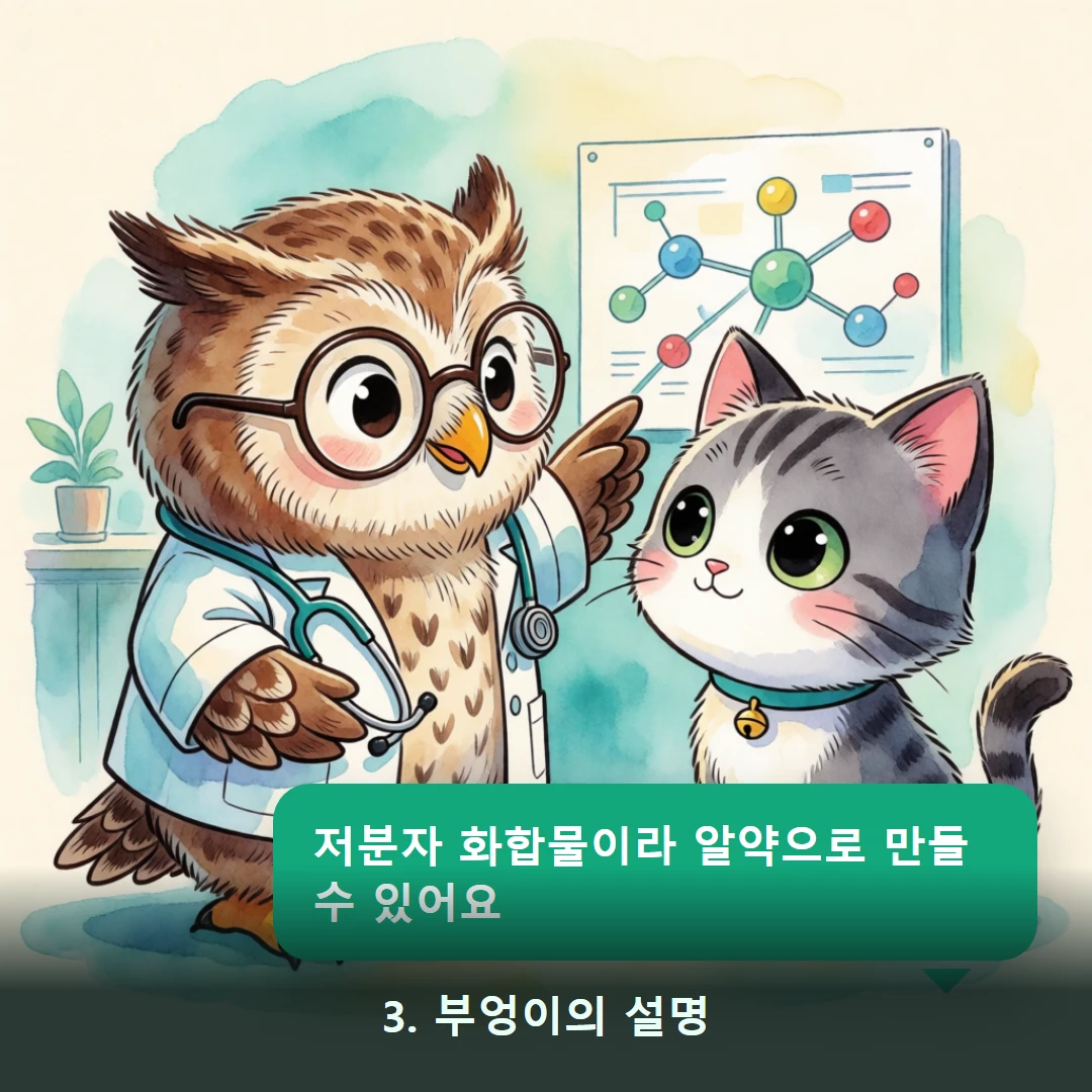 웹툰 3컷 — 3. 부엉이의 설명 (저분자 화합물이라 알약으로 만들 수 있어요)