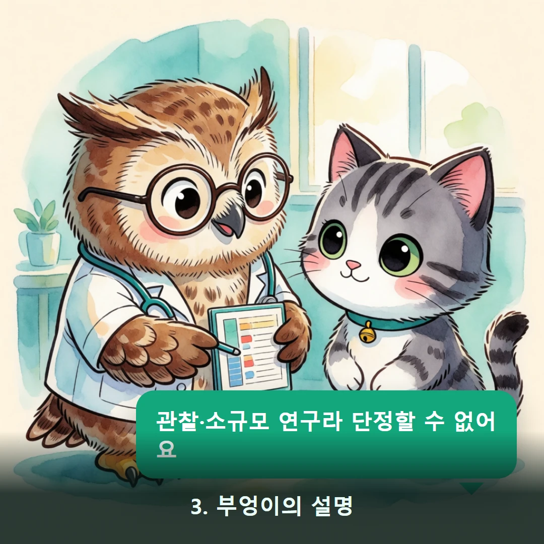 웹툰 3컷 — 3. 부엉이의 설명 (관찰·소규모 연구라 단정할 수 없어요)