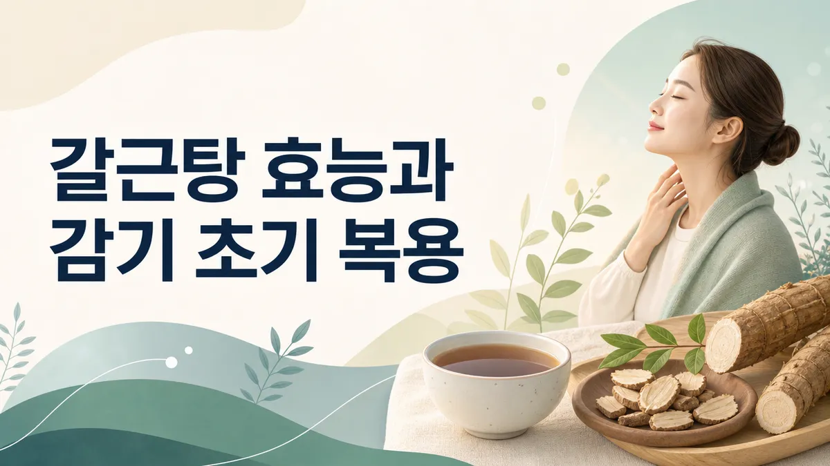 갈근탕 효능과 감기 초기 복용, 마황 주의점까지