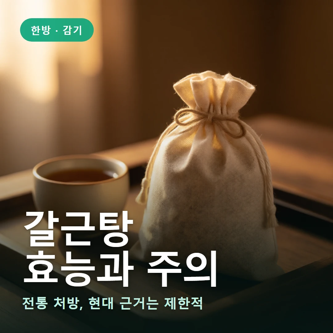 갈근탕 요약 표지 — 전통 처방, 현대 근거는 제한적