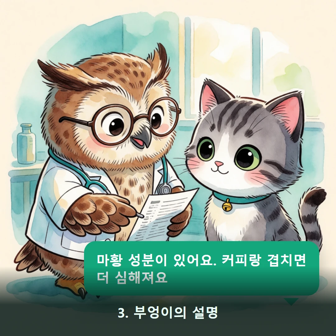 웹툰 3컷 — 3. 부엉이의 설명 (마황 성분이 있어요. 커피랑 겹치면 더 심해져요)