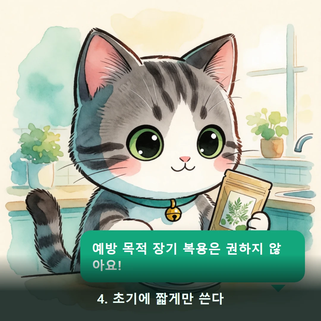 웹툰 4컷 — 4. 초기에 짧게만 쓴다 (예방 목적 장기 복용은 권하지 않아요!)