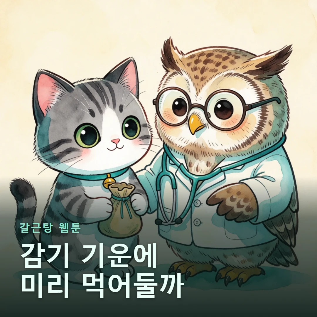 갈근탕 웹툰 표지 — 감기 기운에 미리 먹어둘까