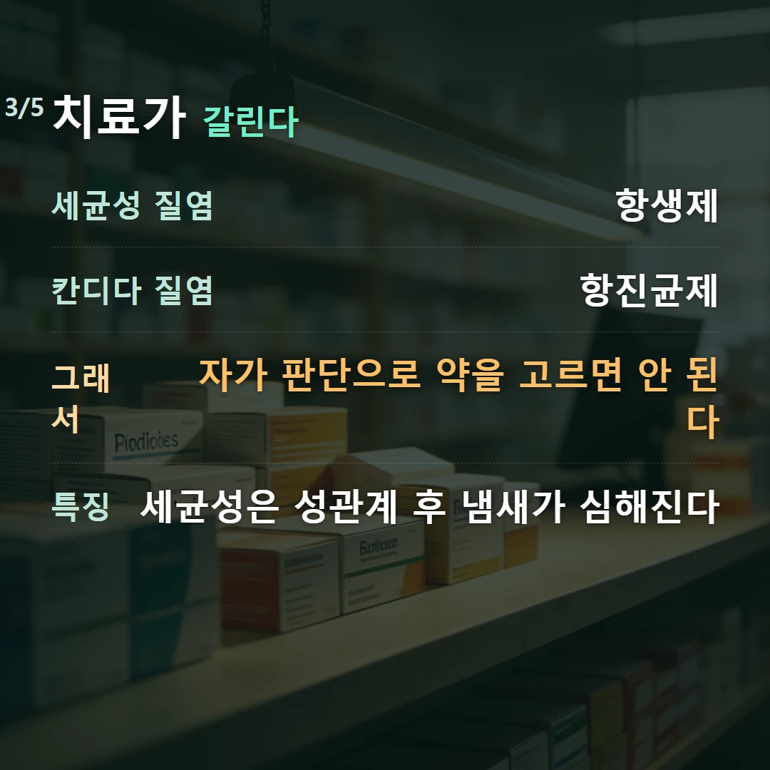 치료가 갈린다 — 세균성 질염 항생제, 칸디다 질염 항진균제, 그래서 자가 판단으로 약을 고르면 안 된다, 특징 세균성은 성관계 후 냄새가 심해진다