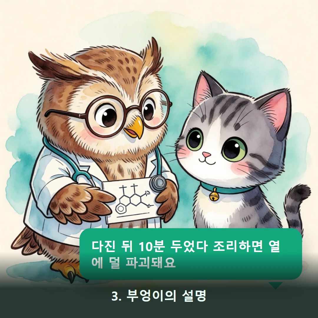 웹툰 3컷 — 3. 부엉이의 설명 (다진 뒤 10분 두었다 조리하면 열에 덜 파괴돼요)