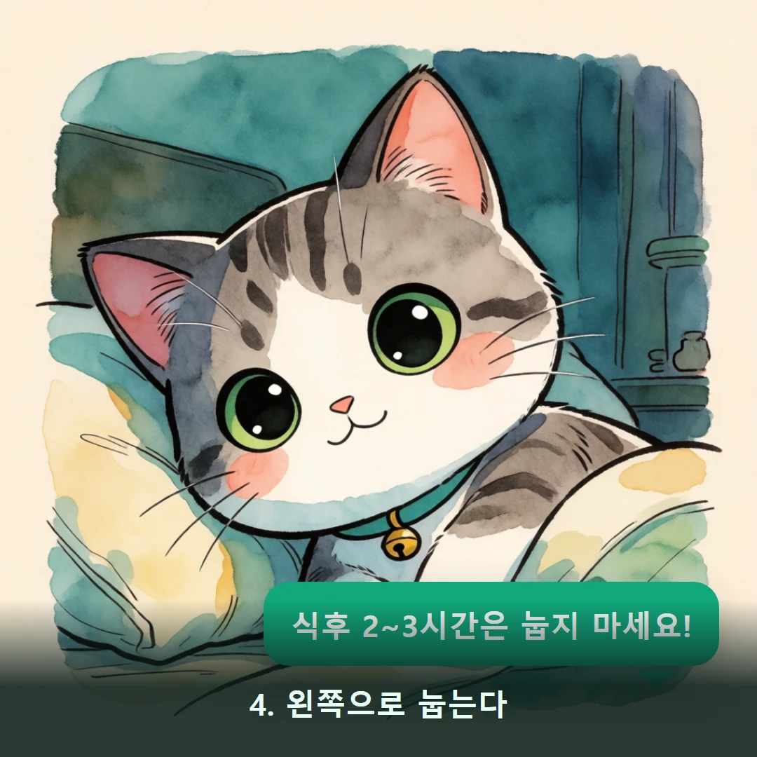 웹툰 4컷 — 4. 왼쪽으로 눕는다 (식후 2~3시간은 눕지 마세요!)