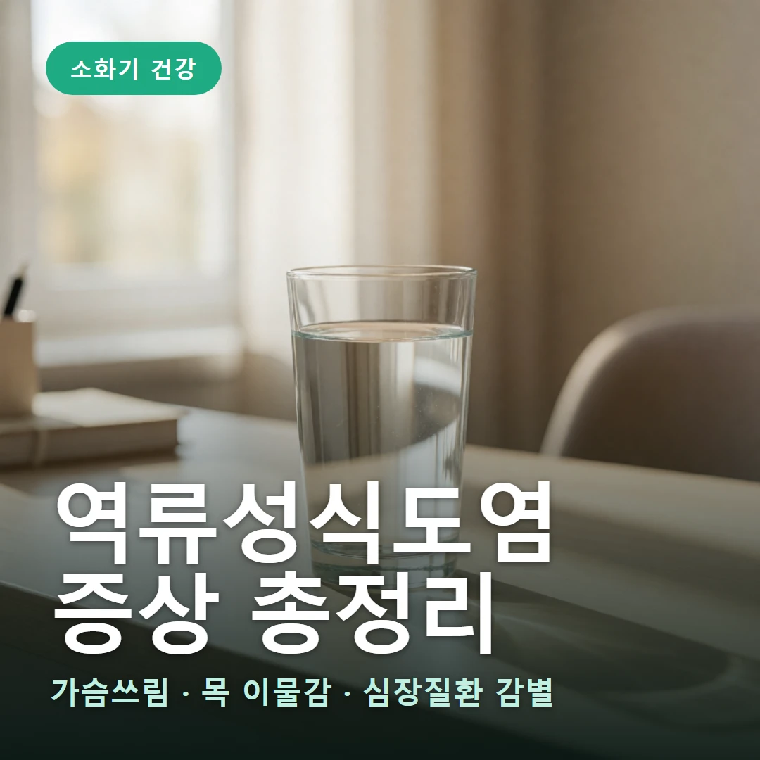 역류성식도염 요약 표지 — 가슴쓰림 · 목 이물감 · 심장질환 감별