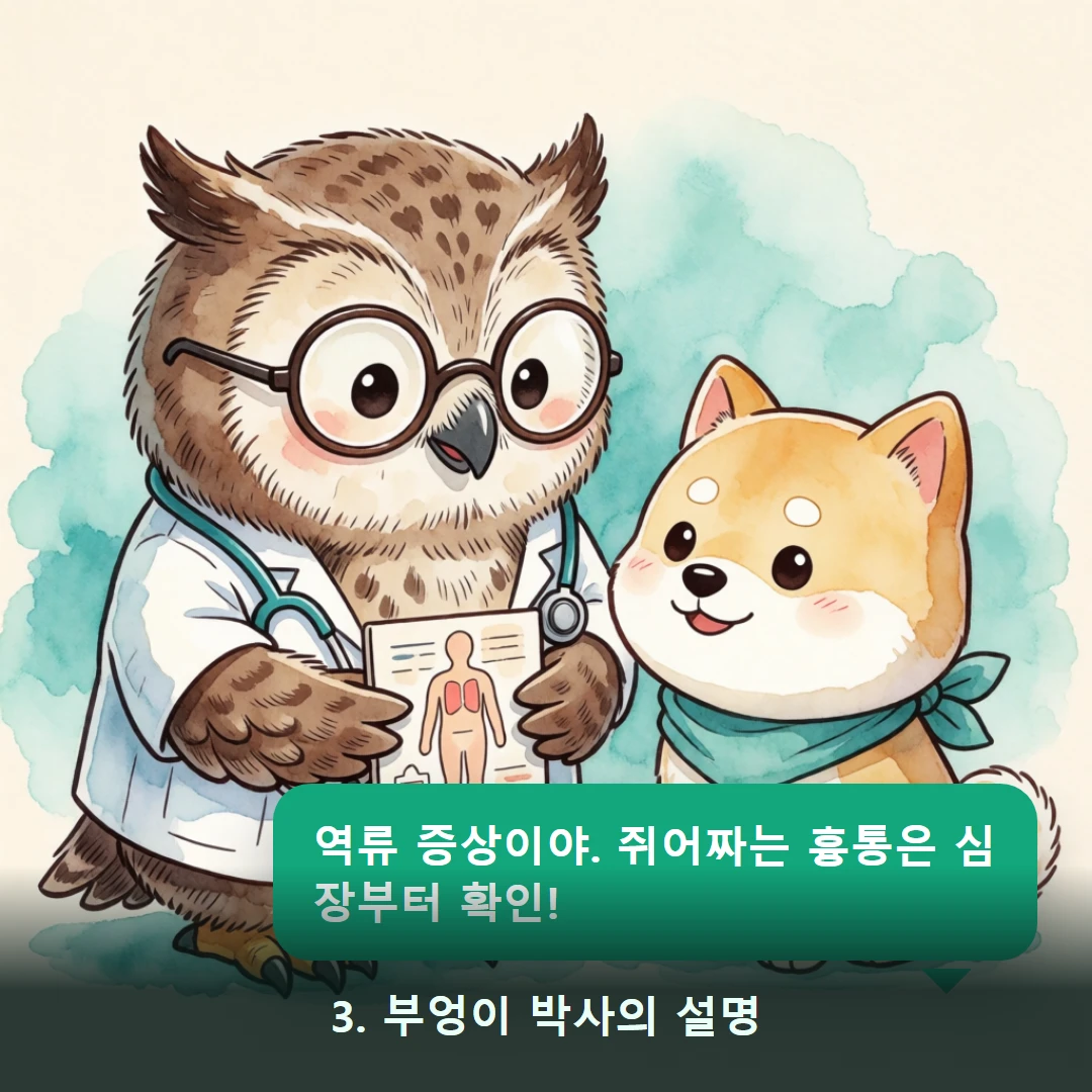 웹툰 3컷 — 3. 부엉이 박사의 설명 (역류 증상이야. 쥐어짜는 흉통은 심장부터 확인!)