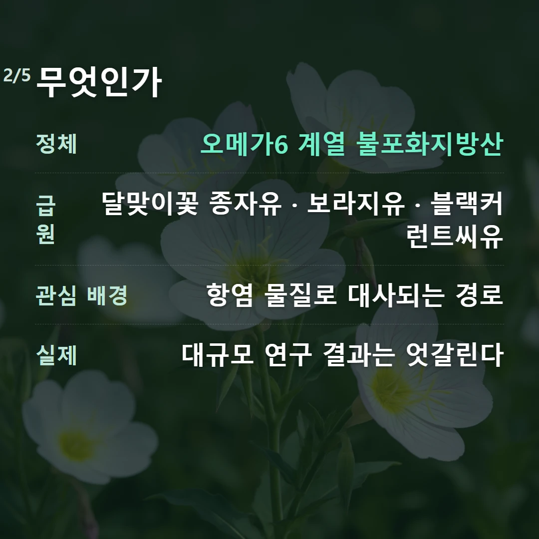 무엇인가 — 정체 오메가6 계열 불포화지방산, 급원 달맞이꽃 종자유 · 보라지유 · 블랙커런트씨유, 관심 배경 항염 물질로 대사되는 경로, 실제 대규모 연구 결과는 엇갈린다