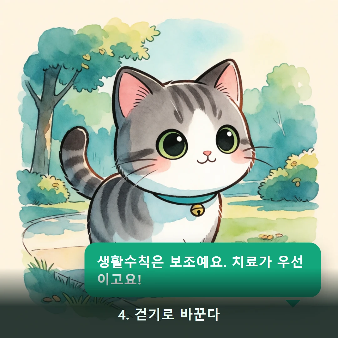 웹툰 4컷 — 4. 걷기로 바꾼다 (생활수칙은 보조예요. 치료가 우선이고요!)