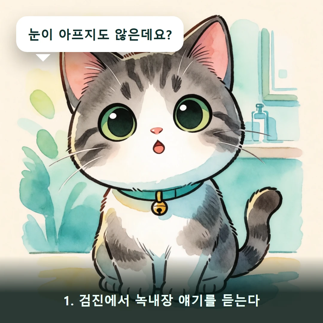 웹툰 1컷 — 1. 검진에서 녹내장 얘기를 듣는다 (눈이 아프지도 않은데요?)
