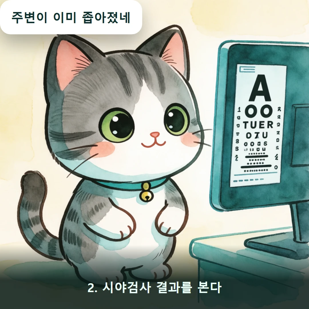 웹툰 2컷 — 2. 시야검사 결과를 본다 (주변이 이미 좁아졌네)