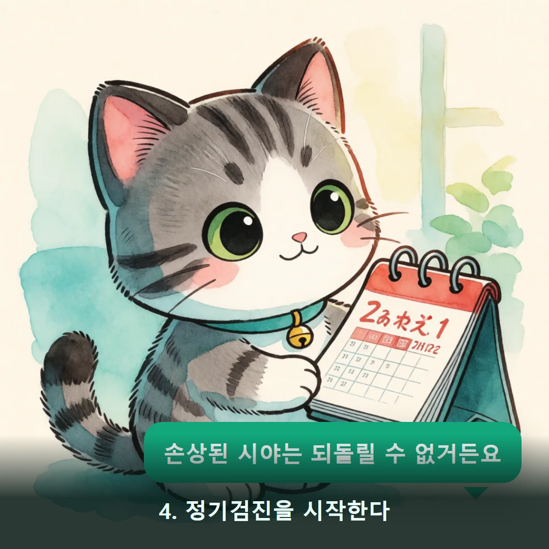 웹툰 4컷 — 4. 정기검진을 시작한다 (손상된 시야는 되돌릴 수 없거든요)