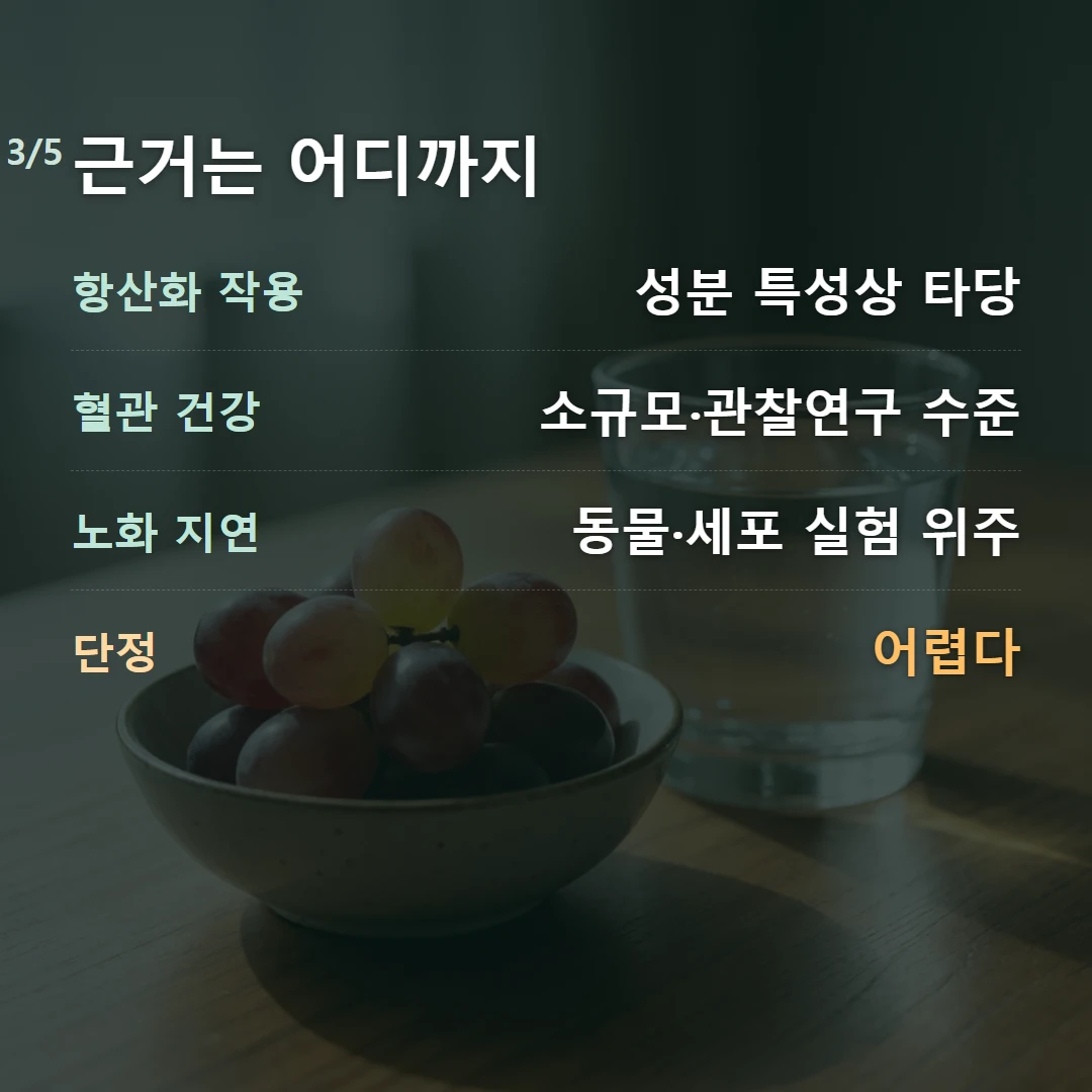 근거는 어디까지 — 항산화 작용 성분 특성상 타당, 혈관 건강 소규모·관찰연구 수준, 노화 지연 동물·세포 실험 위주, 단정 어렵다