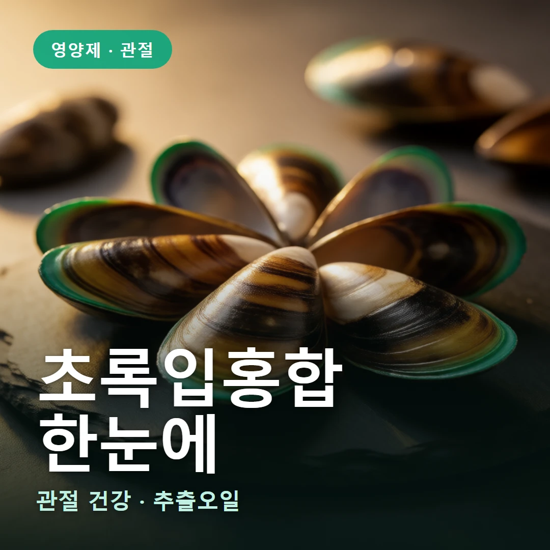 초록입홍합 요약 표지 — 관절 건강 · 추출오일