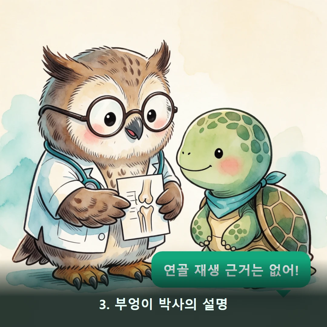 웹툰 3컷 — 3. 부엉이 박사의 설명 (연골 재생 근거는 없어!)