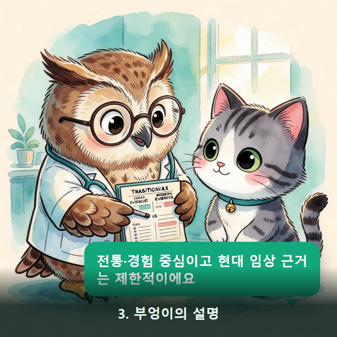 웹툰 3컷 — 3. 부엉이의 설명 (전통·경험 중심이고 현대 임상 근거는 제한적이에요)