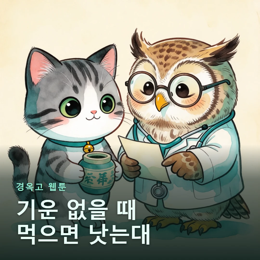 경옥고 웹툰 표지 — 기운 없을 때 먹으면 낫는대