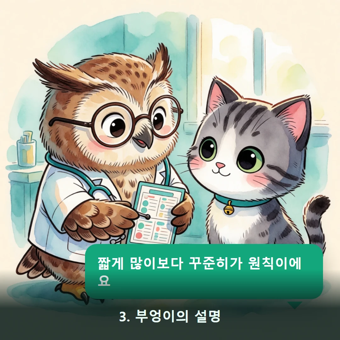 웹툰 3컷 — 3. 부엉이의 설명 (짧게 많이보다 꾸준히가 원칙이에요)