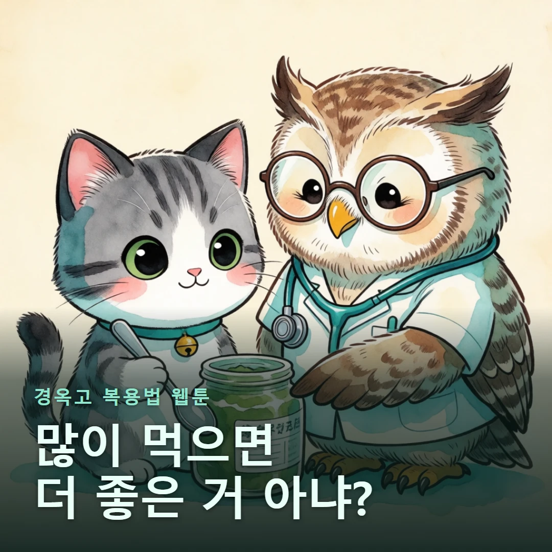 경옥고 복용법 웹툰 표지 — 많이 먹으면 더 좋은 거 아냐?