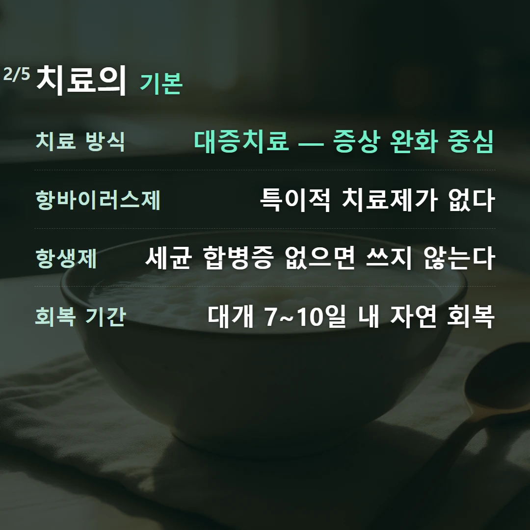 치료의 기본 — 치료 방식 대증치료 — 증상 완화 중심, 항바이러스제 특이적 치료제가 없다, 항생제 세균 합병증 없으면 쓰지 않는다, 회복 기간 대개 7~10일 내 자연 회복