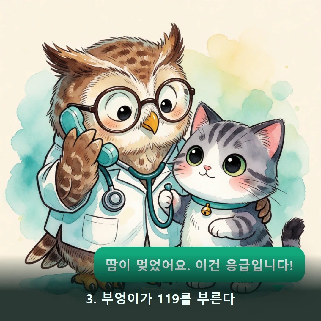 웹툰 3컷 — 3. 부엉이가 119를 부른다 (땀이 멎었어요. 이건 응급입니다!)