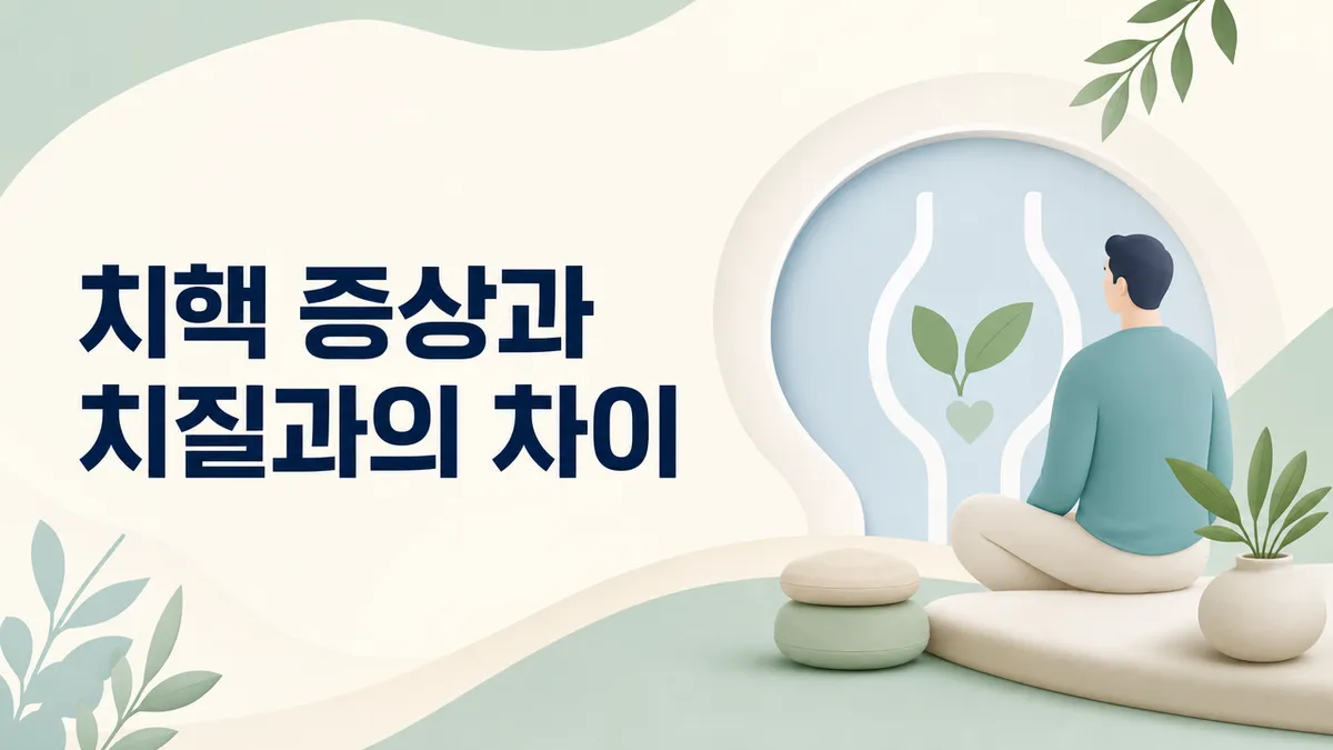 치핵 증상과 내치핵·외치핵 차이, 치질과의 관계 총정리