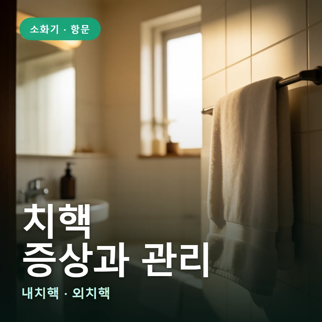치핵 요약 표지 — 내치핵 · 외치핵