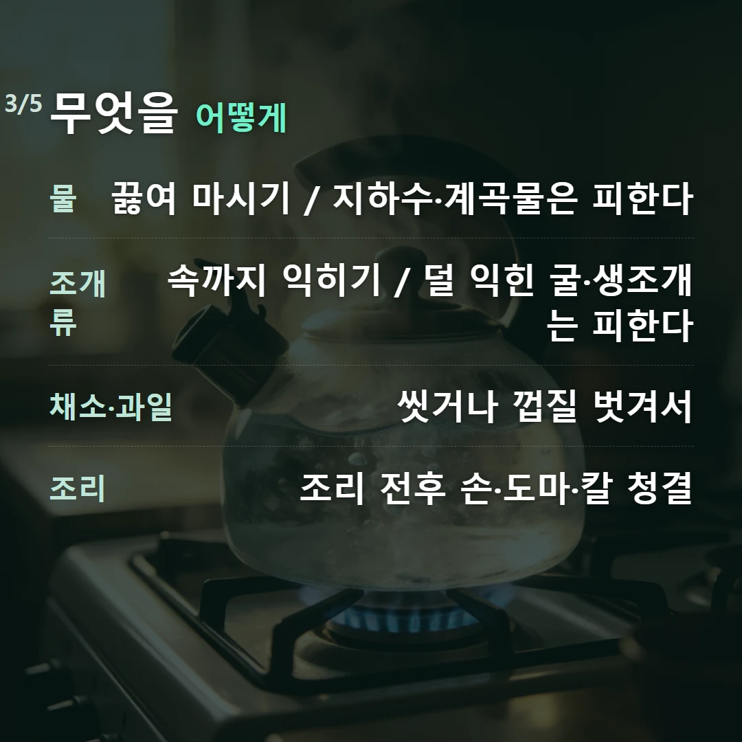 무엇을 어떻게 — 물 끓여 마시기 / 지하수·계곡물은 피한다, 조개류 속까지 익히기 / 덜 익힌 굴·생조개는 피한다, 채소·과일 씻거나 껍질 벗겨서, 조리 조리 전후 손·도마·칼 청결