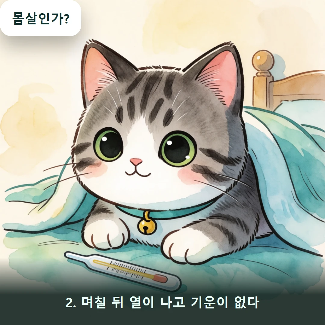 웹툰 2컷 — 2. 며칠 뒤 열이 나고 기운이 없다 (몸살인가?)