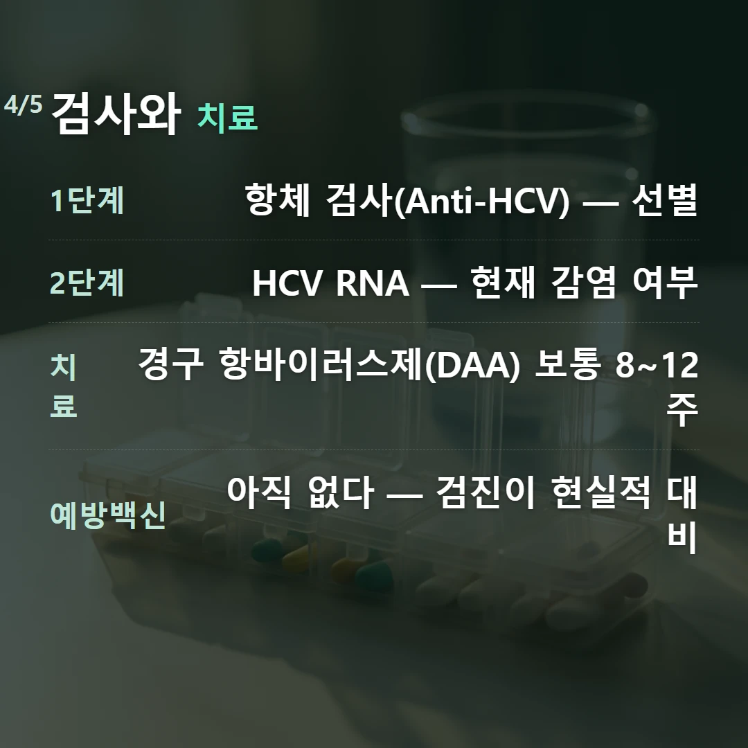 검사와 치료 — 1단계 항체 검사(Anti-HCV) — 선별, 2단계 HCV RNA — 현재 감염 여부, 치료 경구 항바이러스제(DAA) 보통 8~12주, 예방백신 아직 없다 — 검진이 현실적 대비