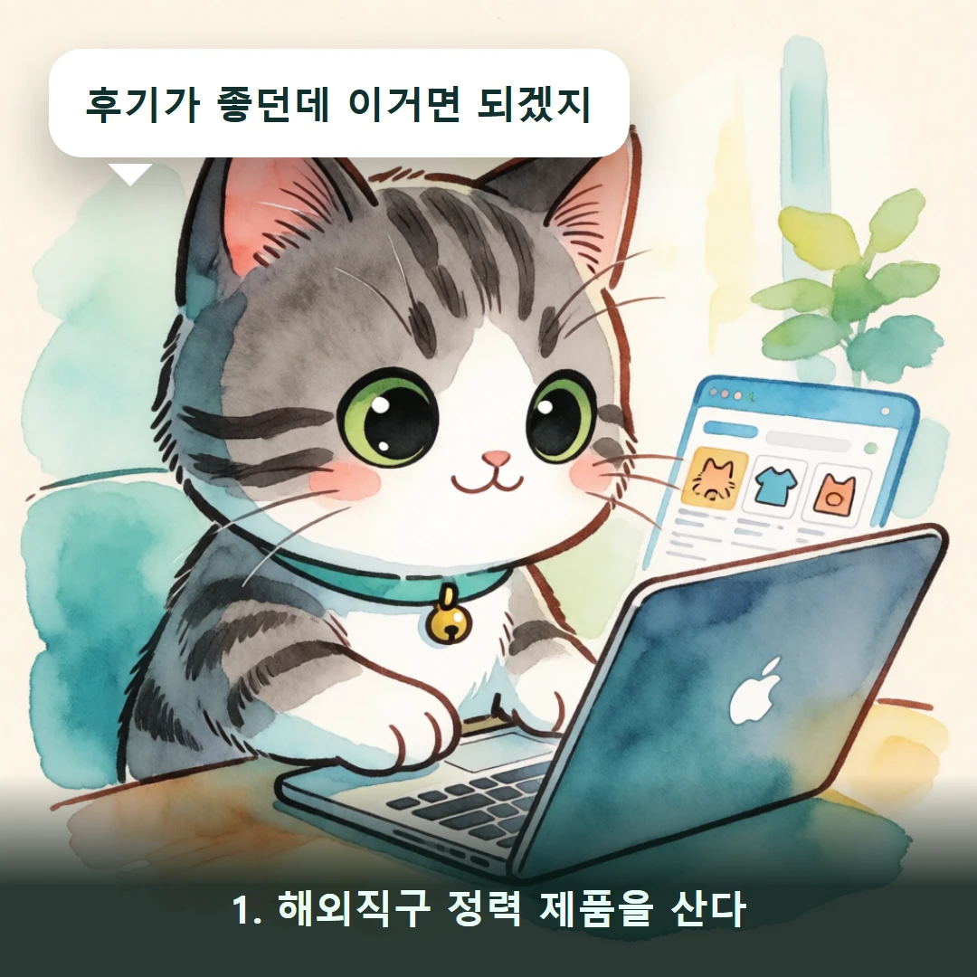 웹툰 1컷 — 1. 해외직구 정력 제품을 산다 (후기가 좋던데 이거면 되겠지)