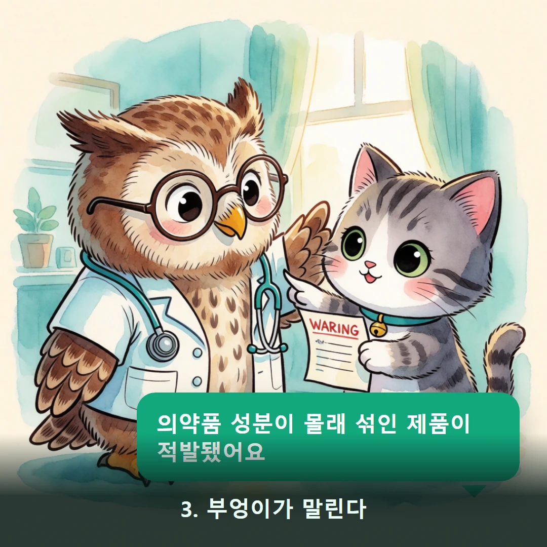 웹툰 3컷 — 3. 부엉이가 말린다 (의약품 성분이 몰래 섞인 제품이 적발됐어요)