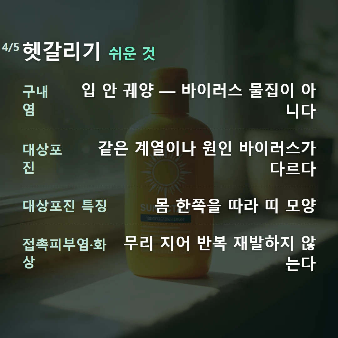 헷갈리기 쉬운 것 — 구내염 입 안 궤양 — 바이러스 물집이 아니다, 대상포진 같은 계열이나 원인 바이러스가 다르다, 대상포진 특징 몸 한쪽을 따라 띠 모양, 접촉피부염·화상 무리 지어 반복 재발하지 않는다