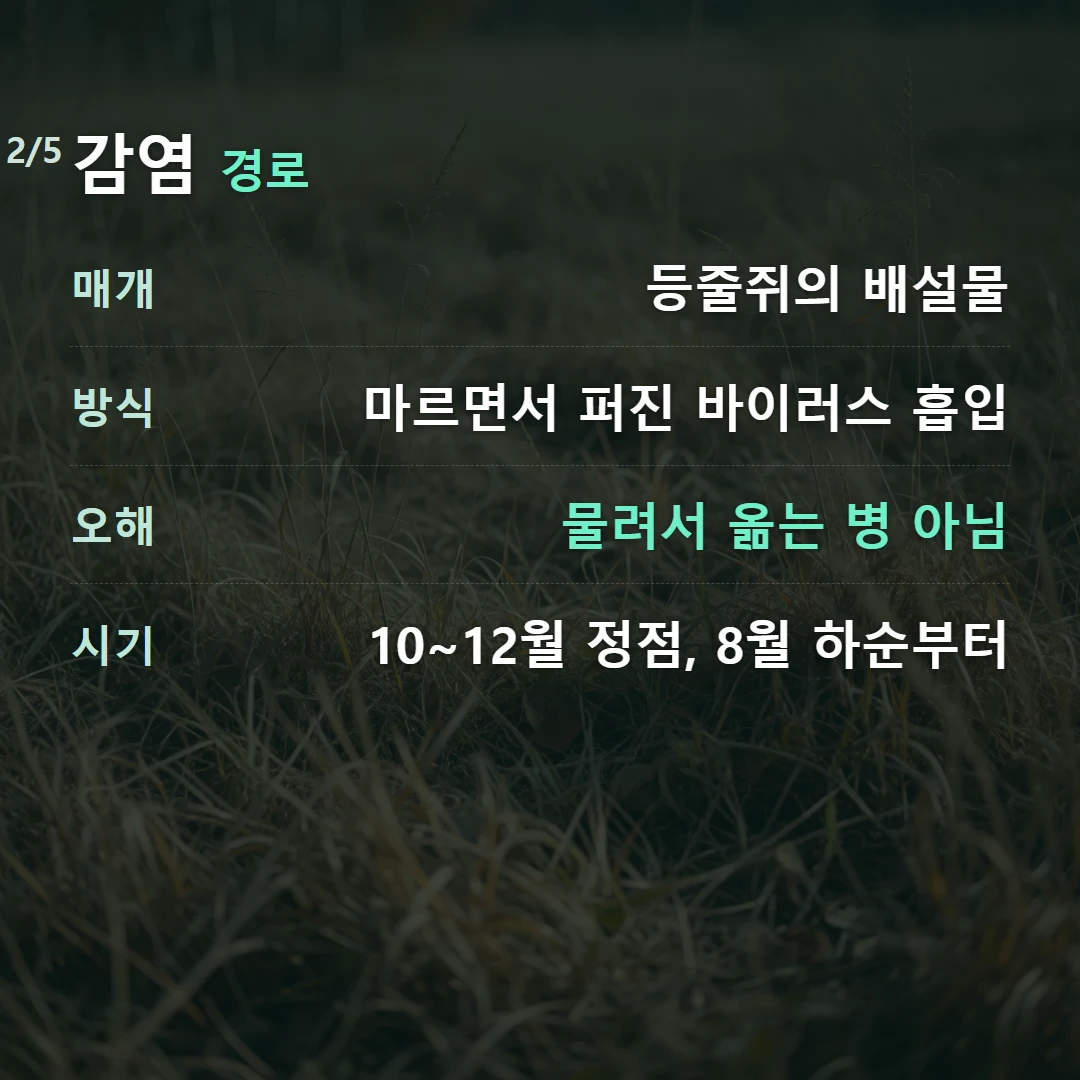 감염 경로 — 매개 등줄쥐의 배설물, 방식 마르면서 퍼진 바이러스 흡입, 오해 물려서 옮는 병 아님, 시기 10~12월 정점, 8월 하순부터