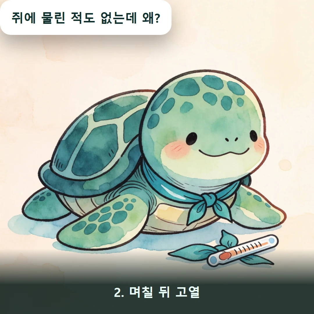 웹툰 2컷 — 2. 며칠 뒤 고열 (쥐에 물린 적도 없는데 왜?)