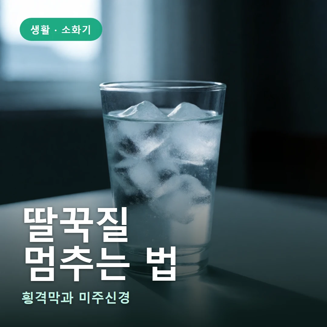 딸꾹질 요약 표지 — 횡격막과 미주신경