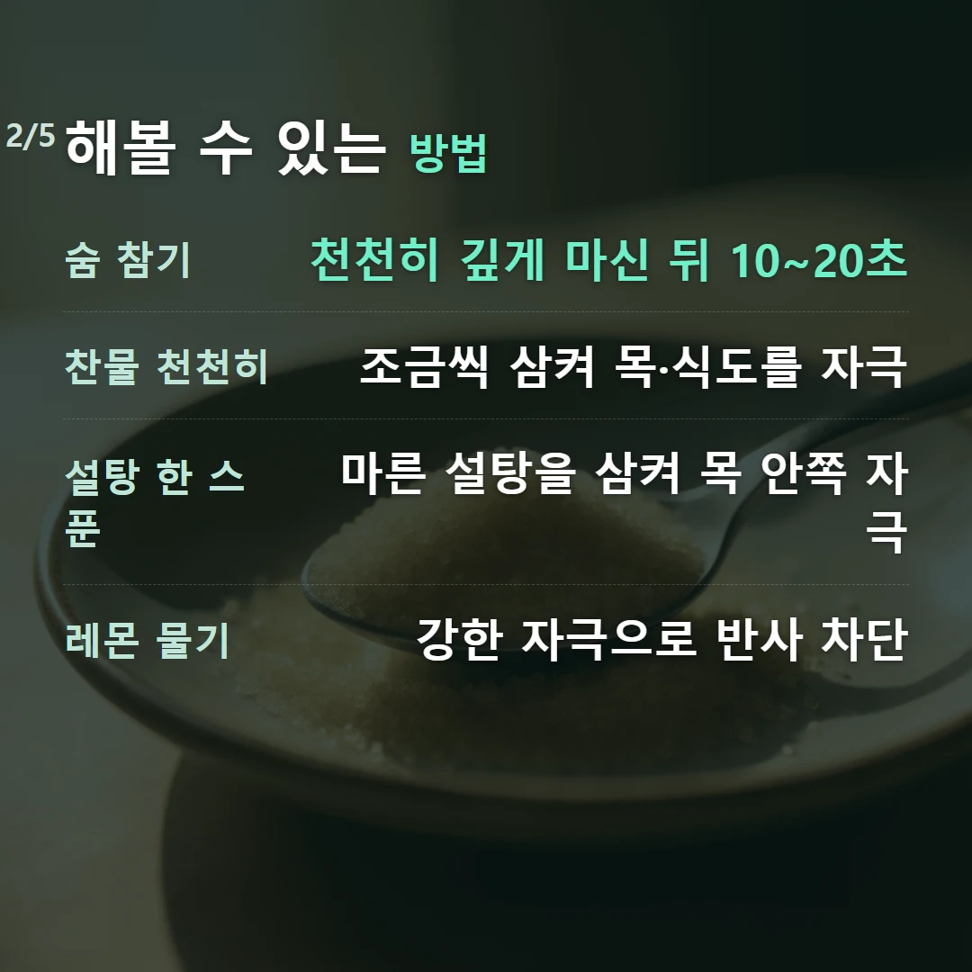 해볼 수 있는 방법 — 숨 참기 천천히 깊게 마신 뒤 10~20초, 찬물 천천히 조금씩 삼켜 목·식도를 자극, 설탕 한 스푼 마른 설탕을 삼켜 목 안쪽 자극, 레몬 물기 강한 자극으로 반사 차단