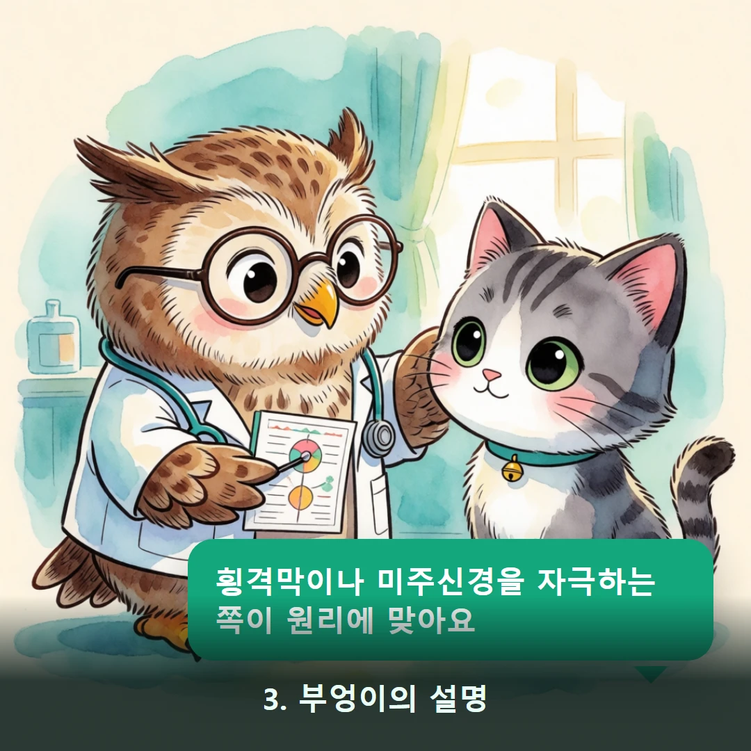 웹툰 3컷 — 3. 부엉이의 설명 (횡격막이나 미주신경을 자극하는 쪽이 원리에 맞아요)